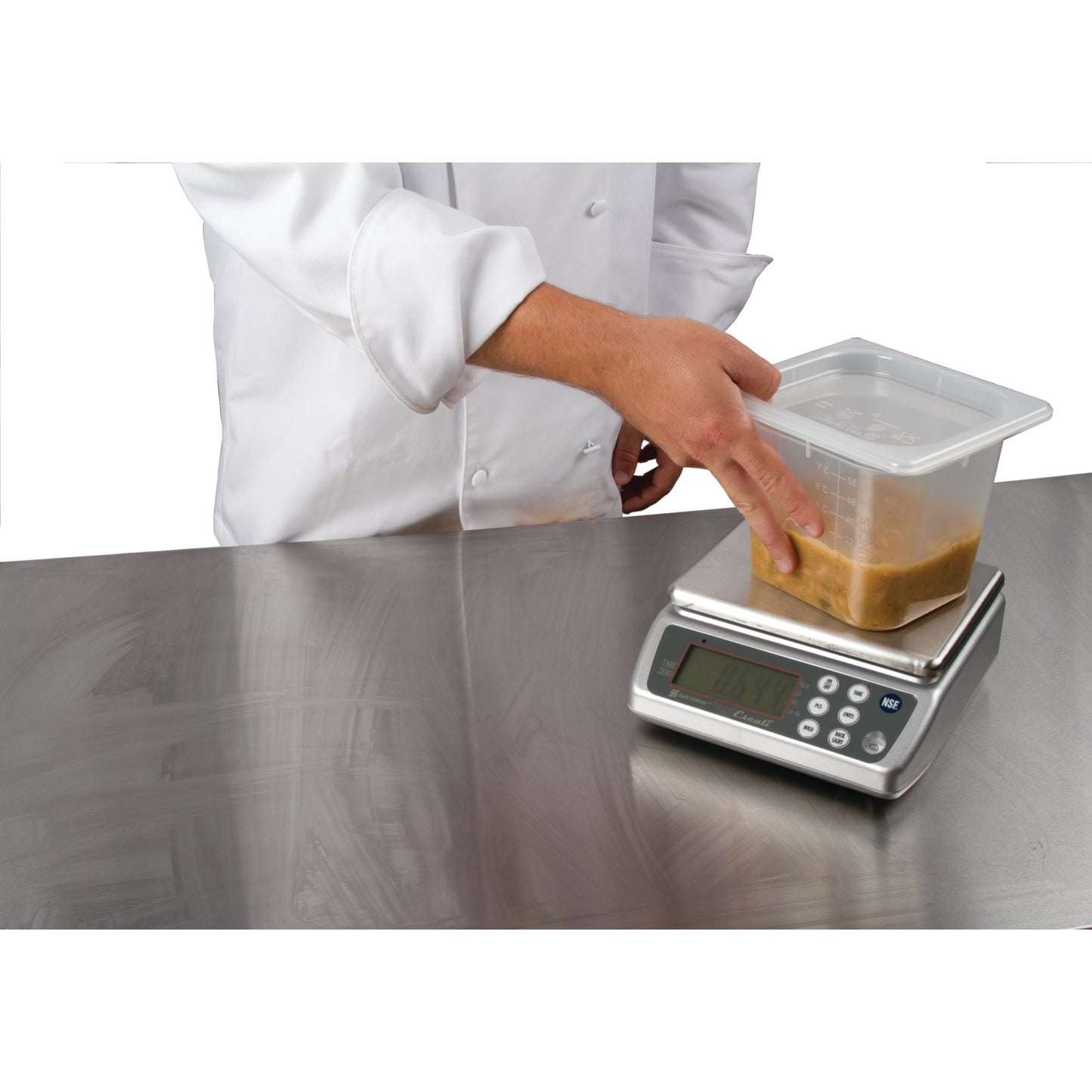 Carlisle SCDG33WD 33 lb Stainless Steel Digital Washdown Scale