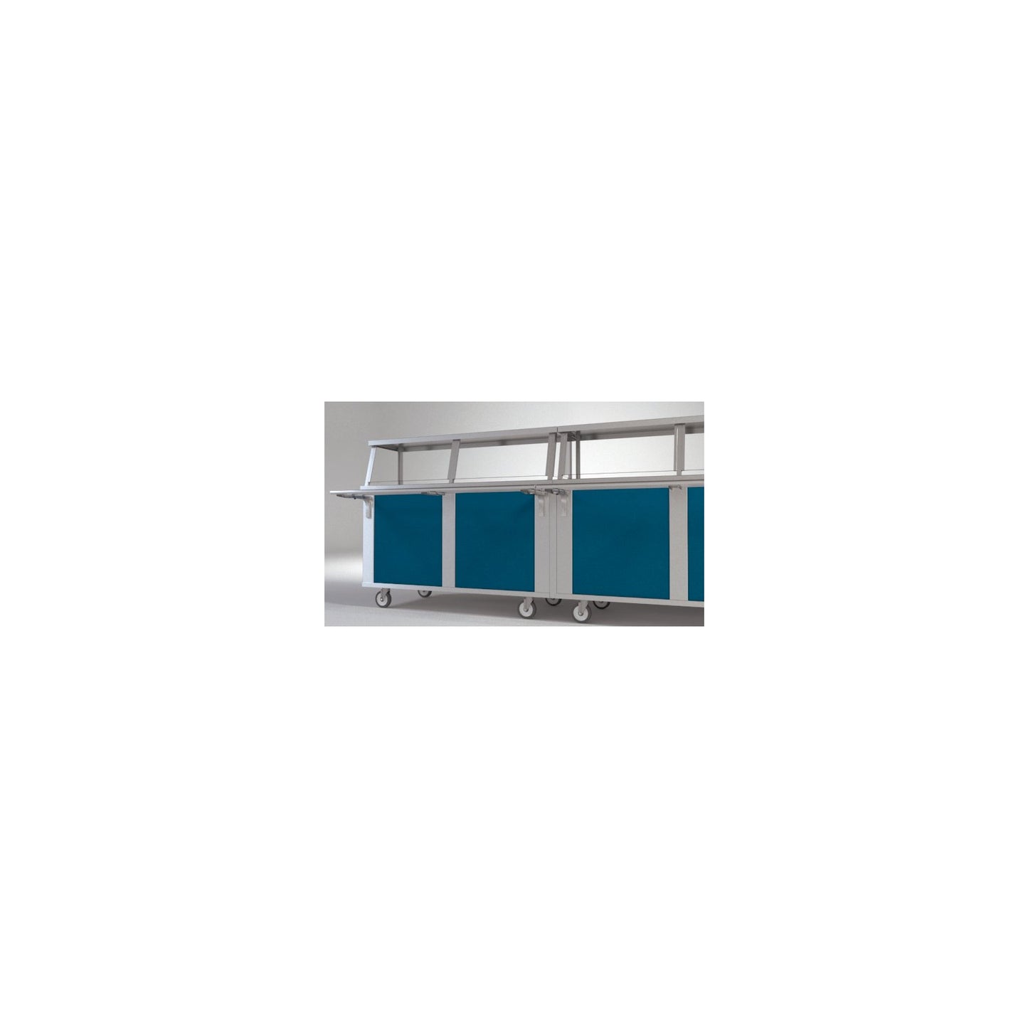 Dinex DXPFLP4 4-Well DineXpress Filler Strips