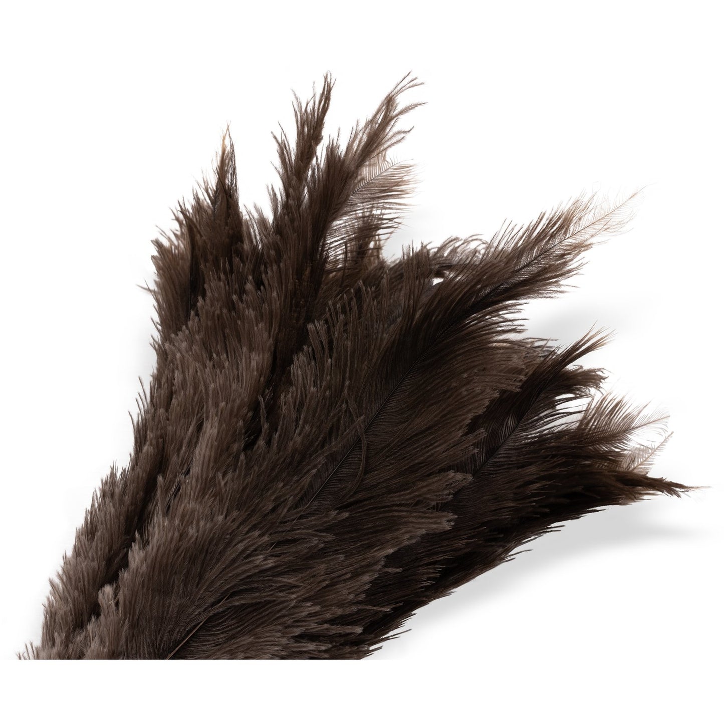 Carlisle 4574300 23" Brown Feather Duster