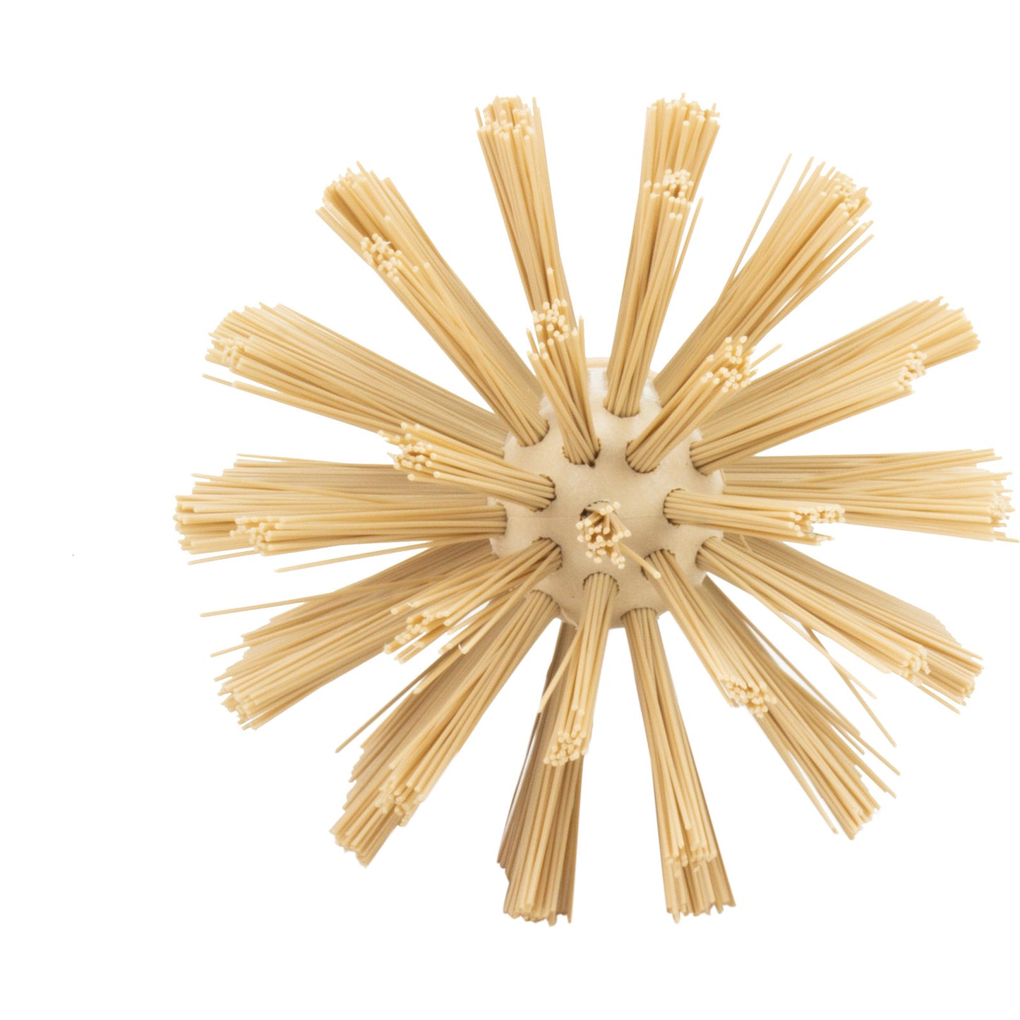Carlisle 45004EC25 4" Tan Pipe & Valve Brush