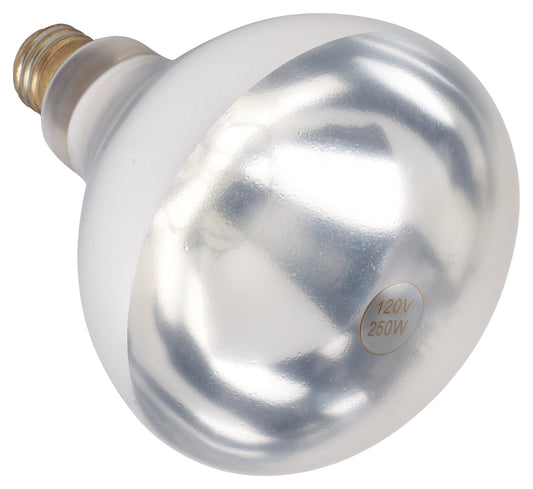 Winco EHL-BW White Shatter-Resistant Bulb
