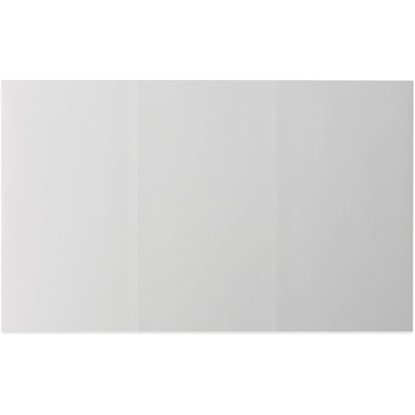 Dinex DX6SM0010000 8-1/2"x14" White Blank Laser-Compatible Sheets, Two 8-1/2" perf (3 panel) Unprinted