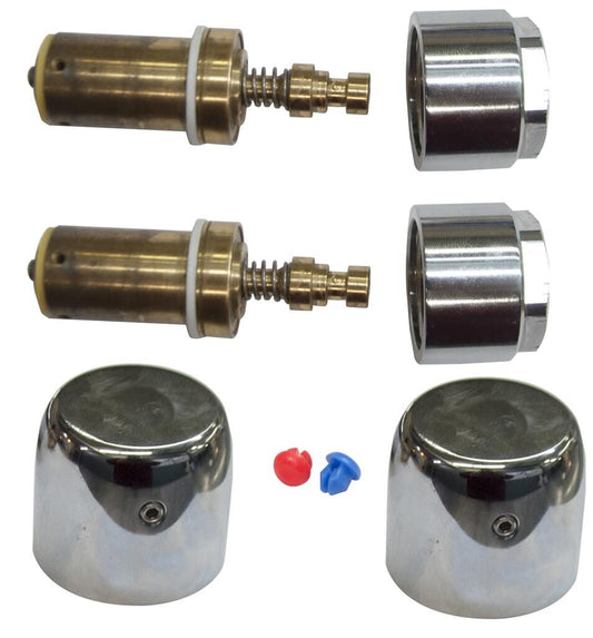 BK Resources MF-4D-KIT 1D Kit Push Cap Bonnet Valve & R/ B Temp Indicators for MF-4D-G Faucet