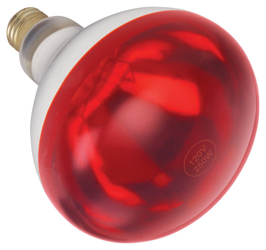 Winco EHL-BR Red Shatter-Resistant Bulb